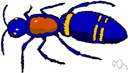 velvet ant