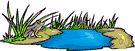 ecosystem - a system formed by the interaction of a community of organisms with their physical environment