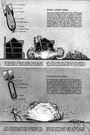 anti-personnel bomb - a bomb with only 10 to 20 per cent explosive and the remainder consisting of casings designed to break into many small high-velocity fragments