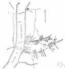 Gloucester - a town in northeastern Massachusetts on Cape Ann to the northeast of Boston