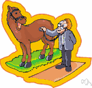 horse doctor - a veterinarian who treats horses
