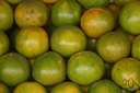 maleic acid - a colorless crystalline compound found in unripe fruit (such as apples or tomatoes or cherries) and used mainly to make polyester resins