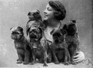 animal fancier - a person who breeds animals