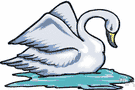 Anatidae - swimming birds having heavy short-legged bodies and bills with a horny tip: swans