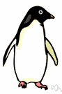 penguin - short-legged flightless birds of cold southern especially Antarctic regions having webbed feet and wings modified as flippers