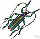 longicorn beetle - long-bodied beetle having very long antennae