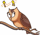 hoot - a loud raucous cry (as of an owl)