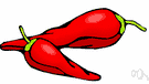 cayenne pepper - plant bearing very hot and finely tapering long peppers