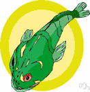 Synanceja verrucosa - venomous tropical marine fish resembling a piece of rock