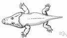 Permian period - from 280 million to 230 million years ago