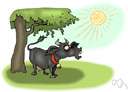 shadowed - filled with shade