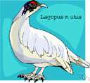 Lagopus