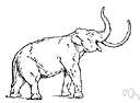 genus Archidiskidon - a genus of Elephantidae