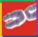 somatic chromosome - any chromosome that is not a sex chromosome