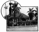 Hilo - a town in Hawaii on the island of Hawaii
