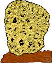 sponge - a porous mass of interlacing fibers that forms the internal skeleton of various marine animals and usable to absorb water or any porous rubber or cellulose product similarly used