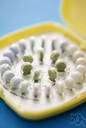 anovulant - a contraceptive in the form of a pill containing estrogen and progestin to inhibit ovulation and so prevent conception