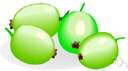 gooseberry - spiny Eurasian shrub having greenish purple-tinged flowers and ovoid yellow-green or red-purple berries