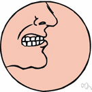 mentum - the protruding part of the lower jaw