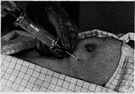 biopsy - examination of tissues or liquids from the living body to determine the existence or cause of a disease
