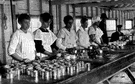 cannery - a factory where food is canned