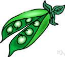 seed plant - plant that reproduces by means of seeds not spores