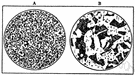 carbon steel - steel whose characteristics are determined by the amount of carbon it contains