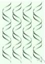 messenger RNA - the template for protein synthesis