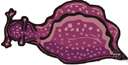Aplysia - type genus of the family Aplysiidae
