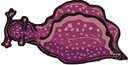 genus Aplysia - type genus of the family Aplysiidae