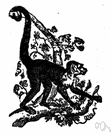 Cebus capucinus - monkey of Central America and South America having thick hair on the head that resembles a monk's cowl