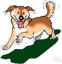 smartness - liveliness and eagerness