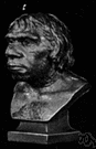 Middle Paleolithic - the time period of Neanderthal man