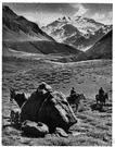 Aconcagua - the highest mountain in the western hemisphere
