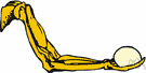 skeletal muscle - a muscle that is connected at either or both ends to a bone and so move parts of the skeleton