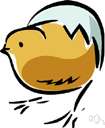hatchling - any recently hatched animal (especially birds)