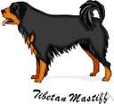 Tibetan mastiff - very large powerful rough-coated dog native to central Asia