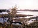 Vistula River