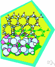 molecular biology - the branch of biology that studies the structure and activity of macromolecules essential to life (and especially with their genetic role)