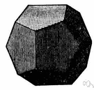 dodecahedron - any polyhedron having twelve plane faces