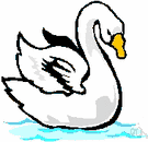 swan - stately heavy-bodied aquatic bird with very long neck and usually white plumage as adult