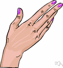 fingernail - the nail at the end of a finger