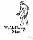Heidelberg man - a type of primitive man who lived in Europe