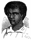 Tongan - a Polynesian native or inhabitant of Tonga