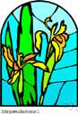 Iris pseudacorus - common yellow-flowered iris of Europe and North Africa, naturalized in United States and often cultivated