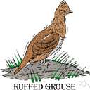 grouse - flesh of any of various grouse of the family Tetraonidae