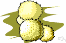 Tulostomataceae - stalked puffballs