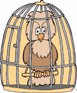 birdcage - a cage in which a bird can be kept