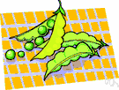 legume - an erect or climbing bean or pea plant of the family Leguminosae