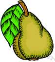 woody pear